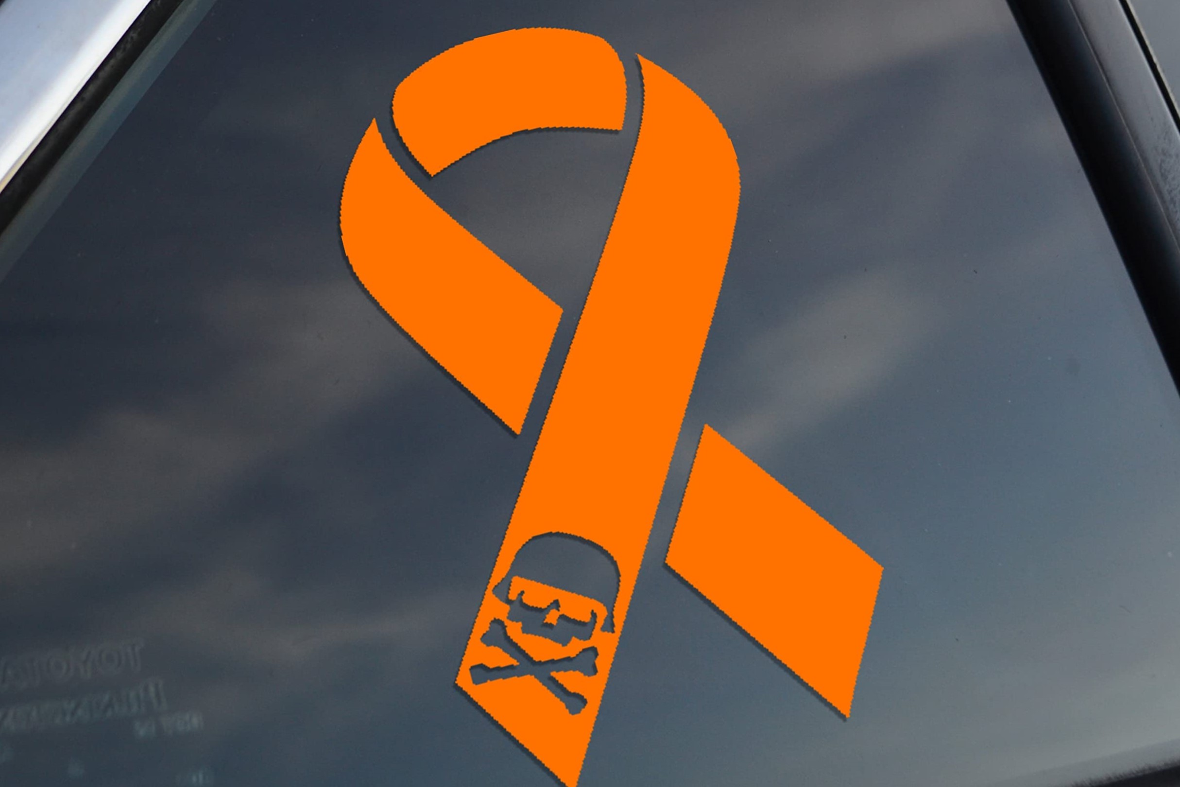 Agent Orange Awareness Day August 10