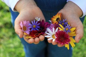 Bring Flowers To Someone Day May 15