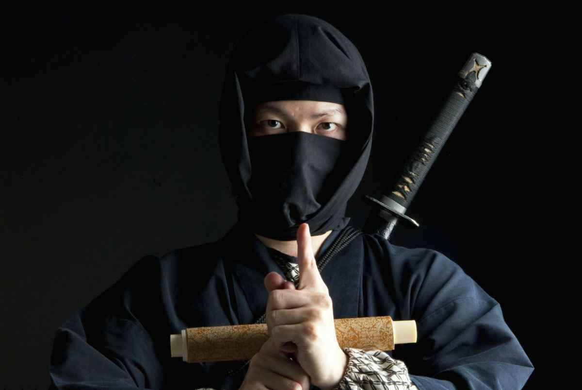 International Ninja Day December 5