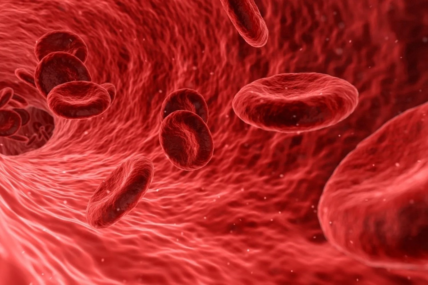 Featured image for International Thalassaemia Day May 8