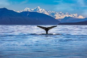 National Alaska Day June 28