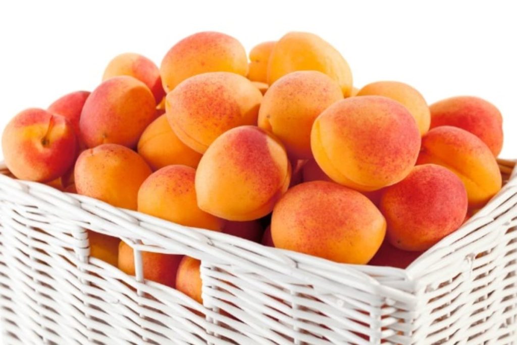 national-apricot-day-january-9