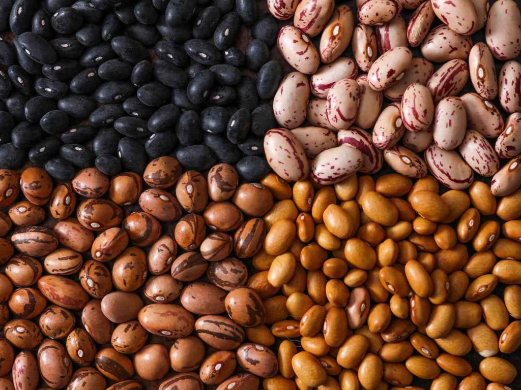 national-bean-counter-day-april-16