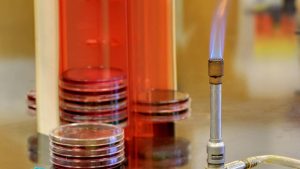 National Bunsen Burner Day March 31