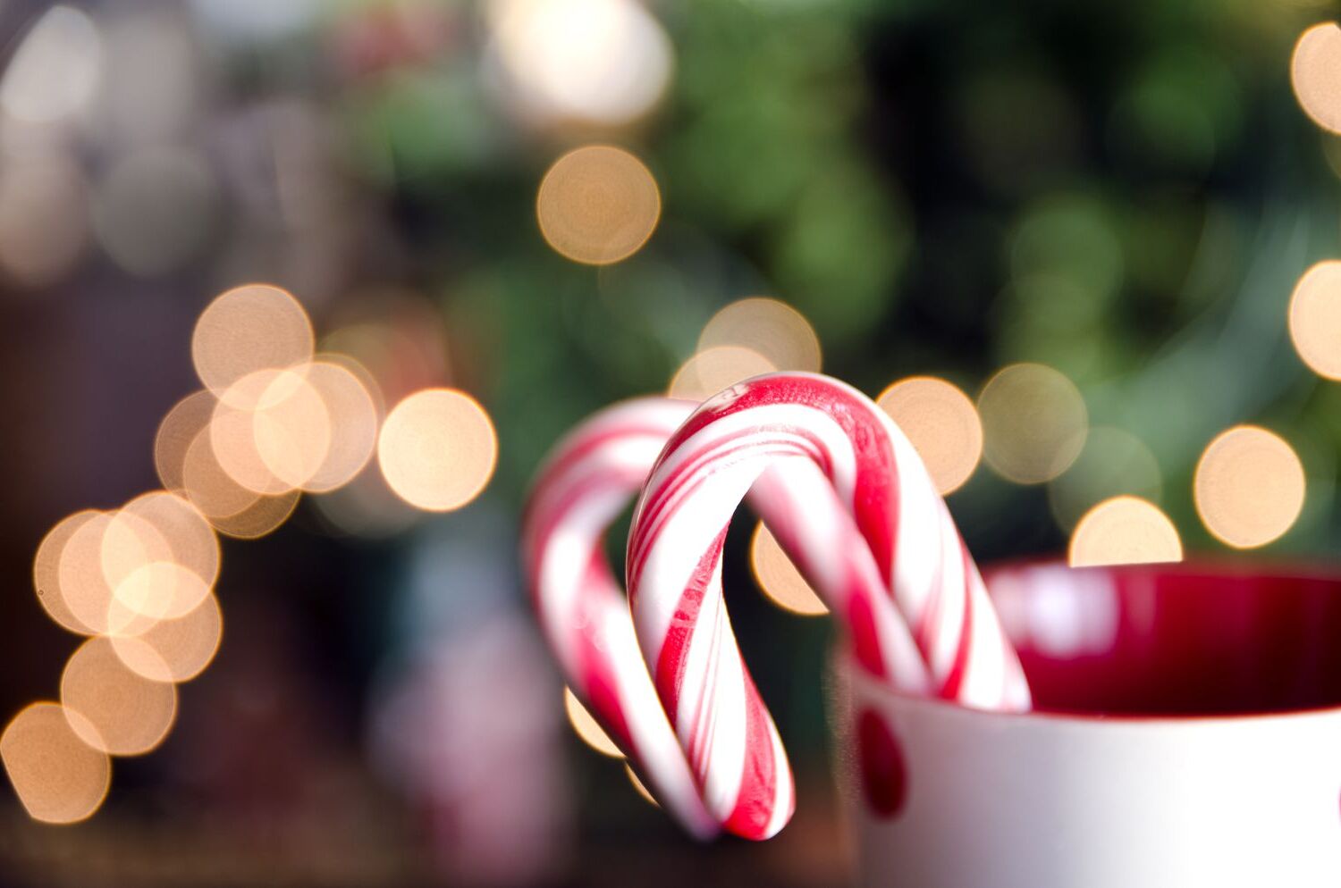 National Candy Cane Day December 26