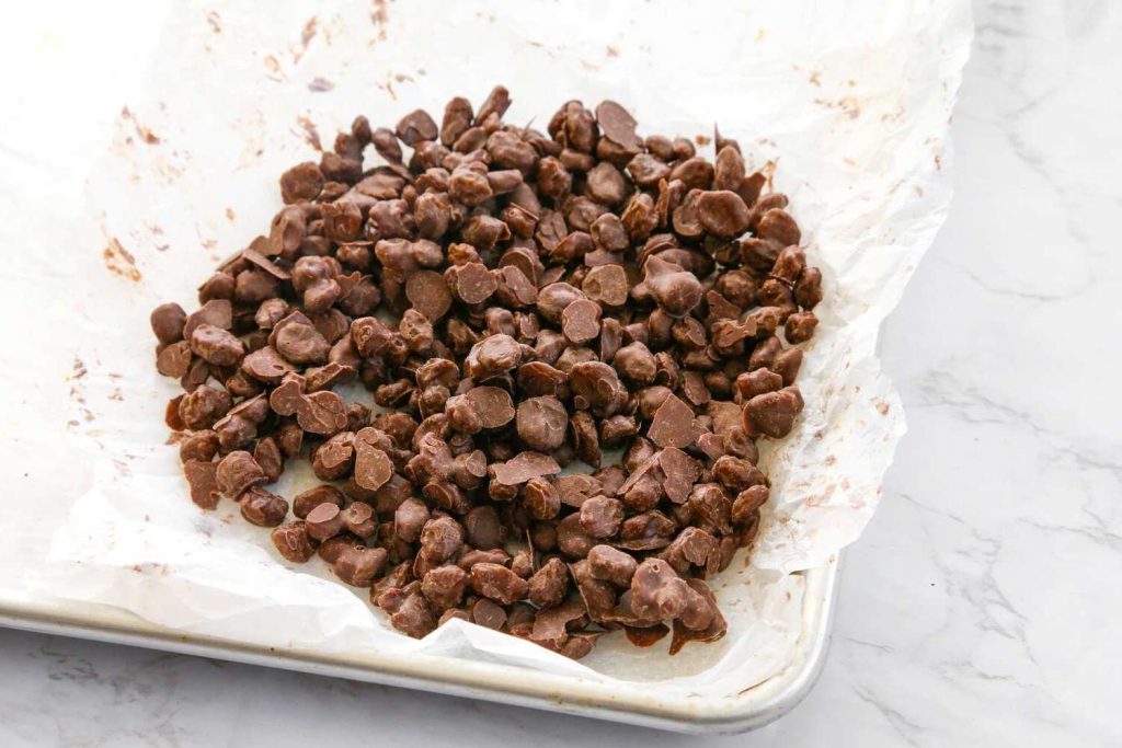 national-chocolate-covered-raisin-day-march-24