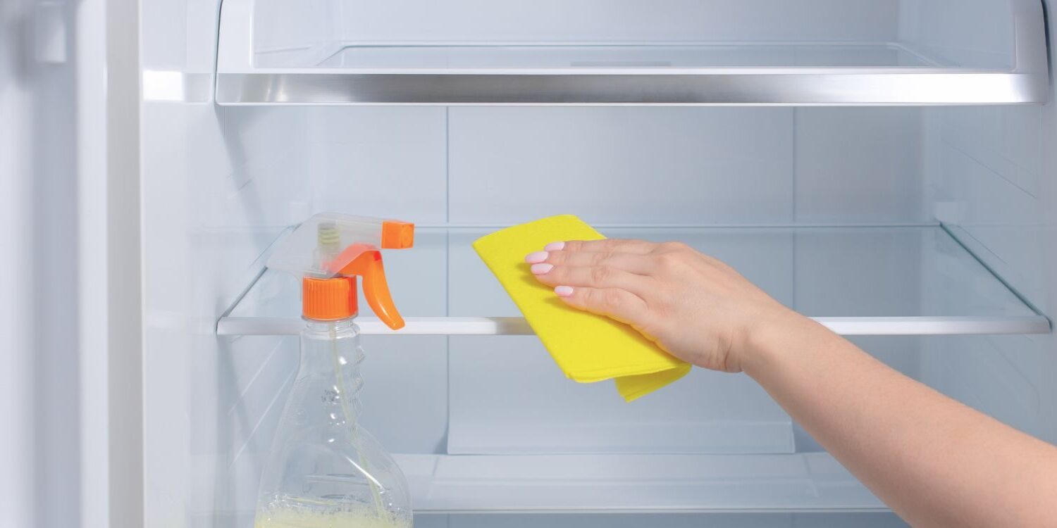 National Clean Out Your Refrigerator Day November 15