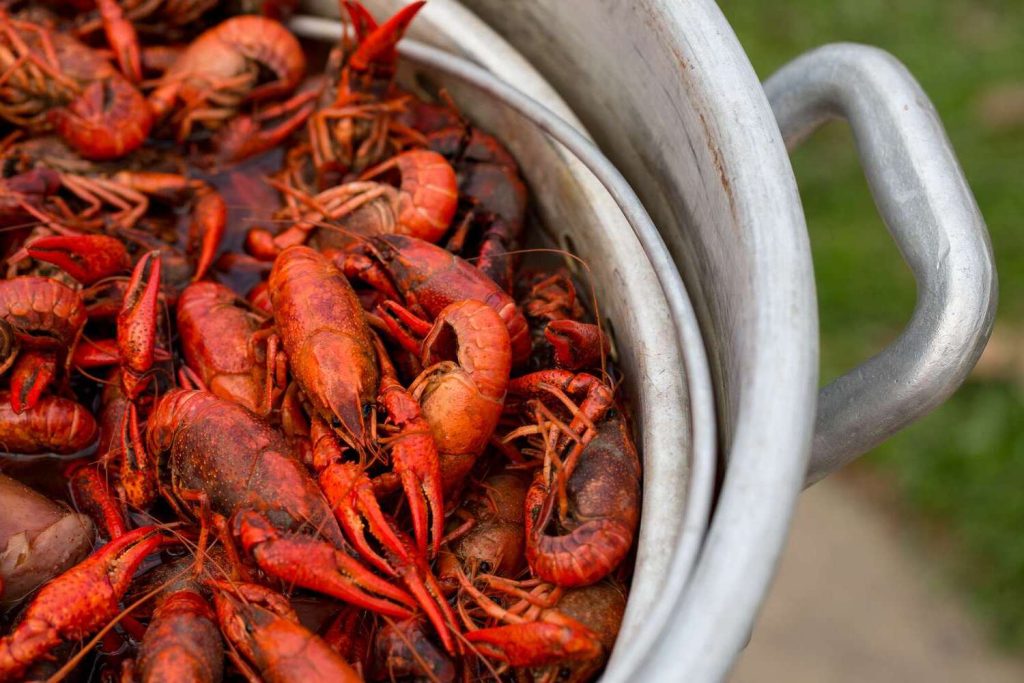 national-crawfish-day-april-17