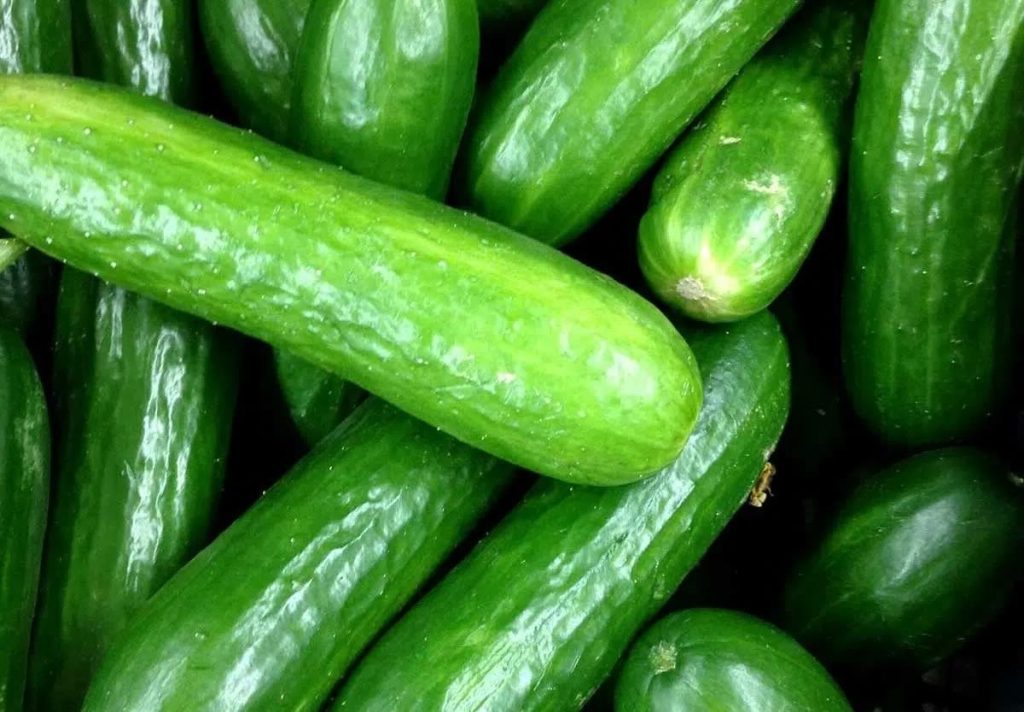 national-cucumber-day-june-14