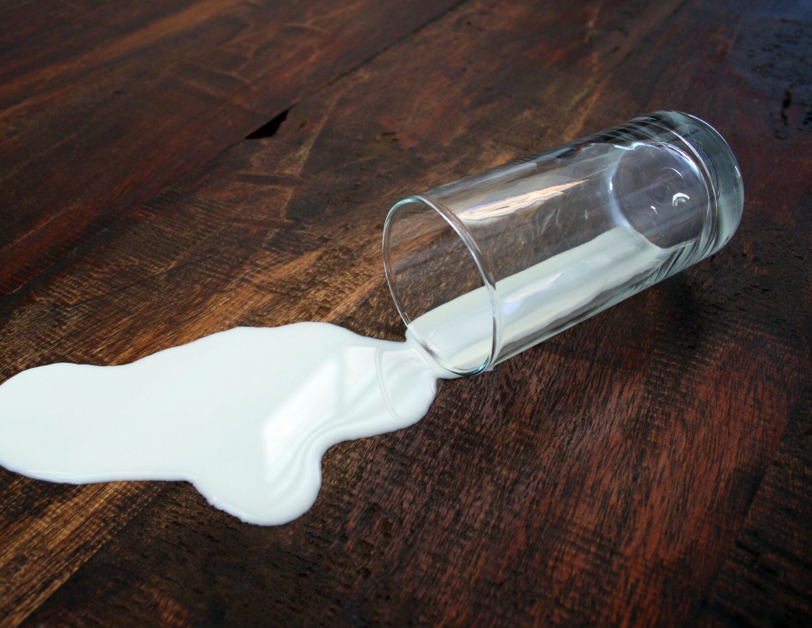 National Dont Cry Over Spilled Milk Day February 11
