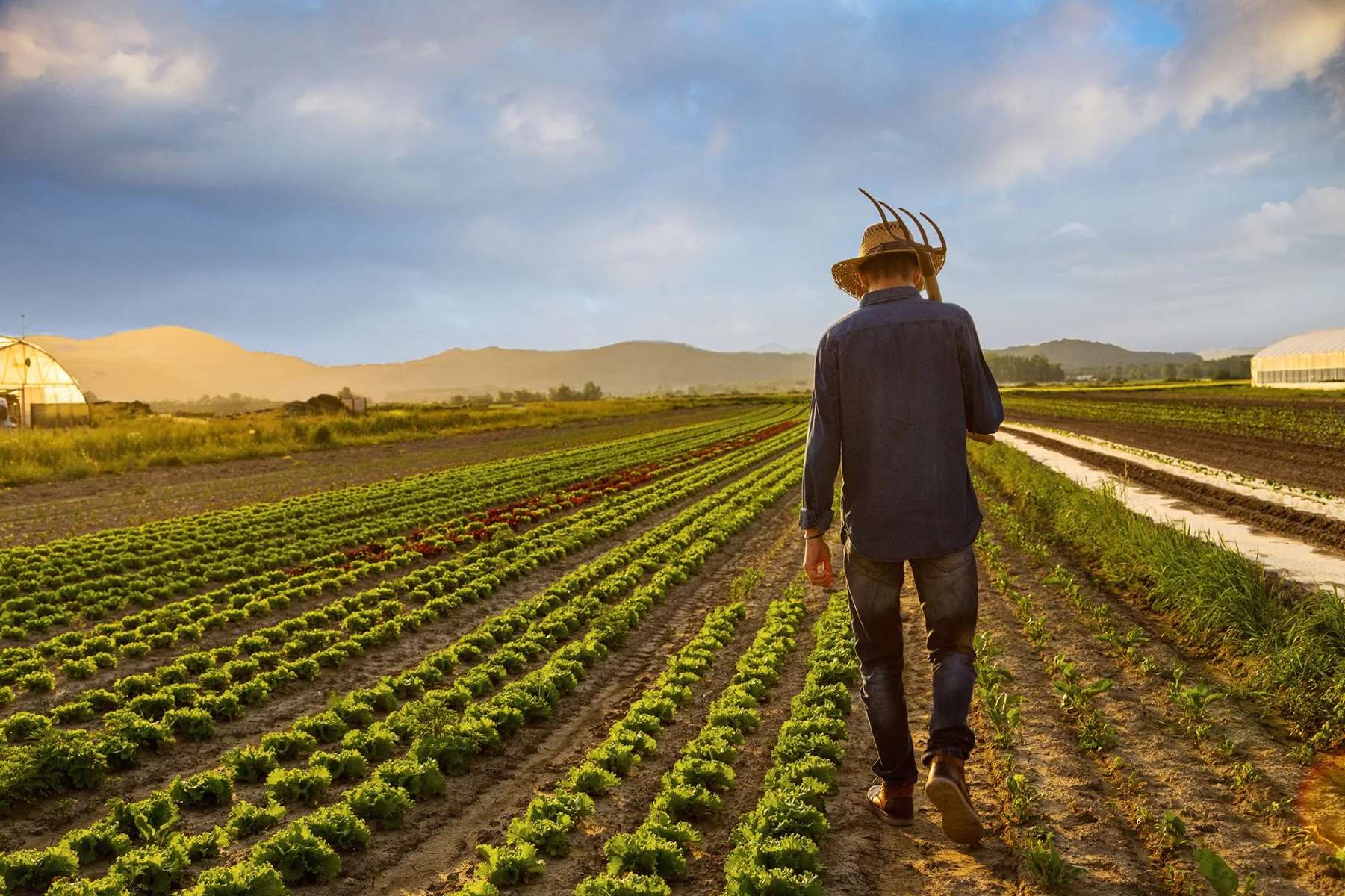 national-farmers-day-october-12