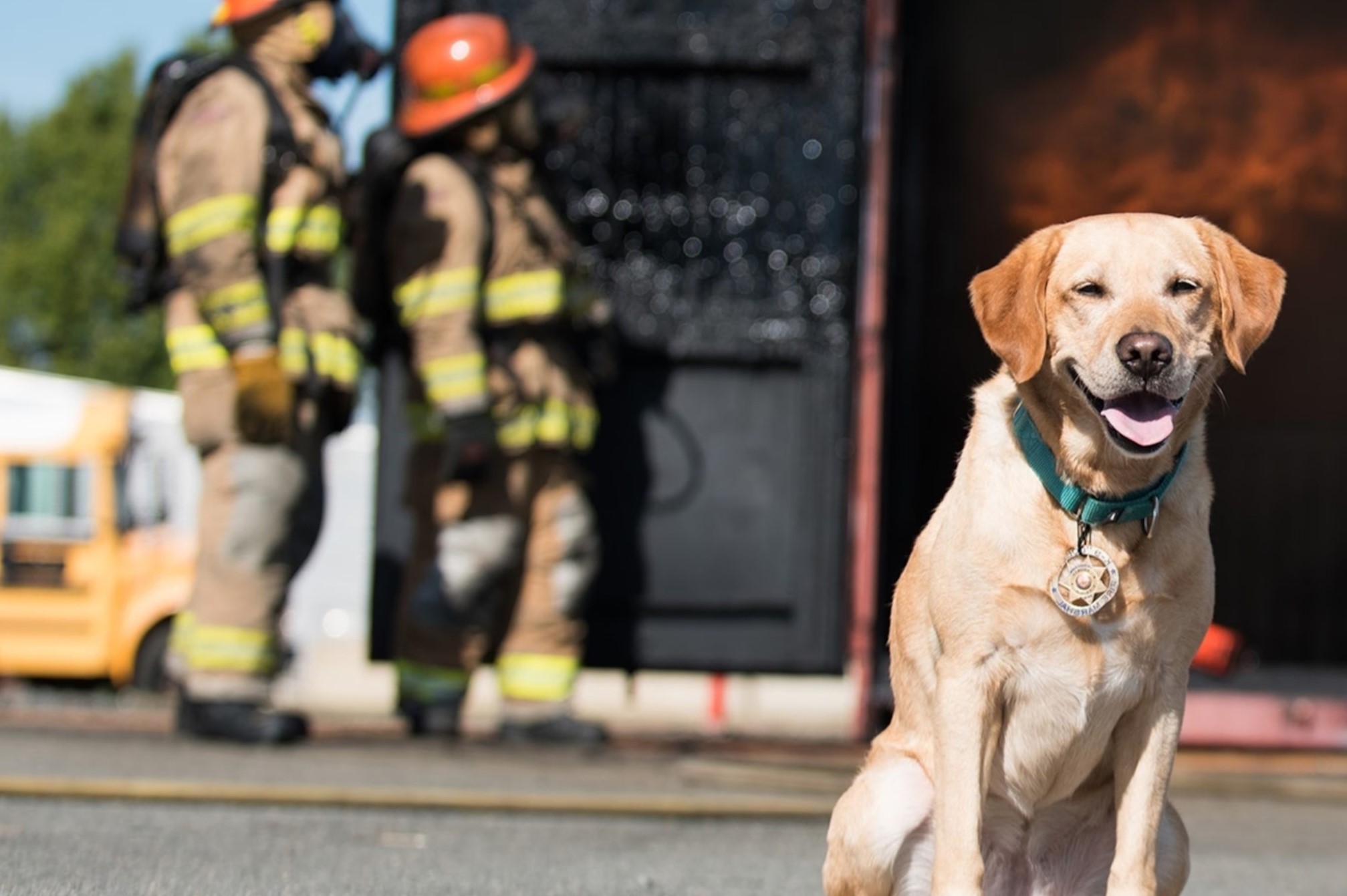 National Fire Pup Day October 1