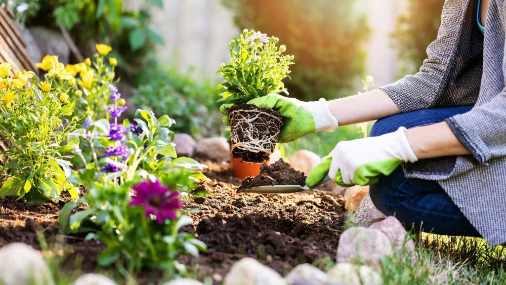 national-gardening-day-april-14