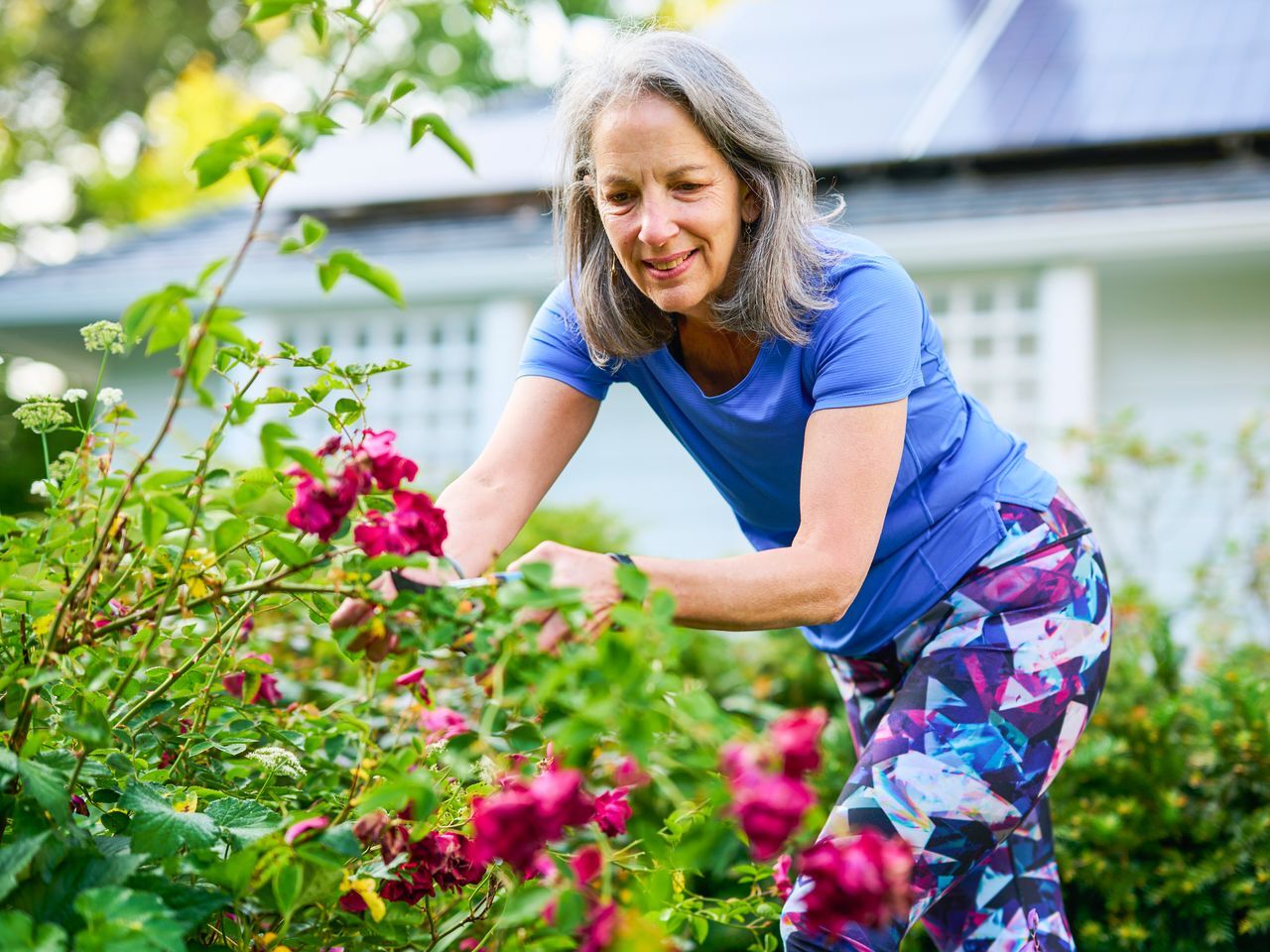 National Gardening Exercise Day June 6