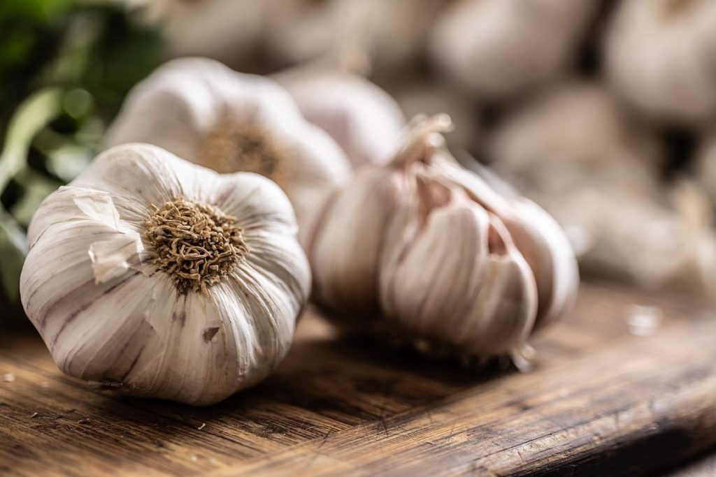 national-garlic-day-april-19