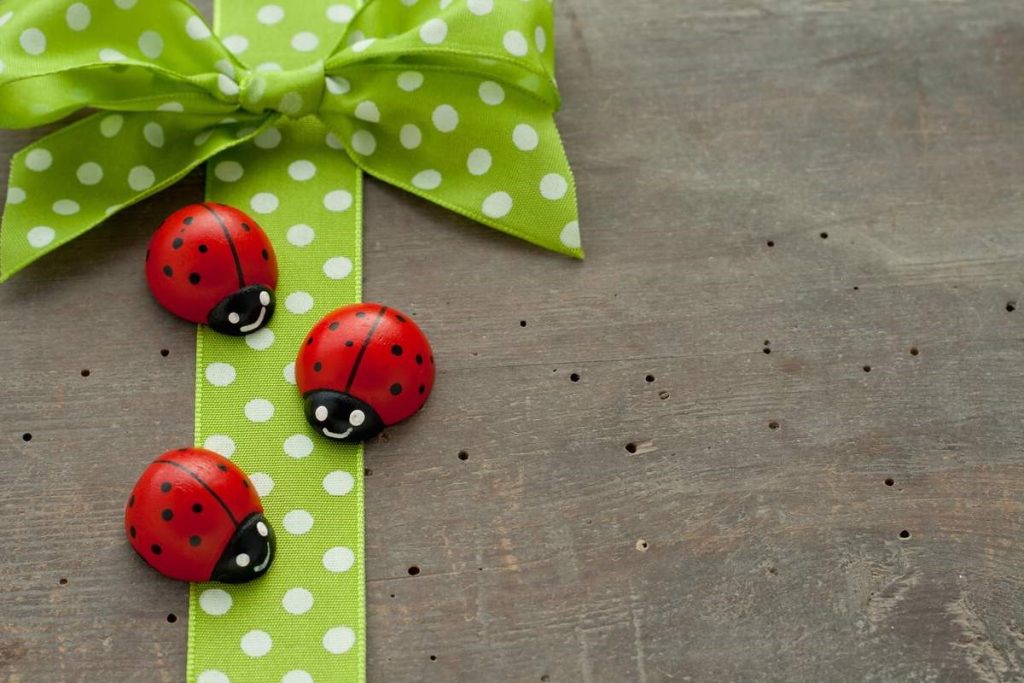 national-gift-of-the-ladybug-day-january-28