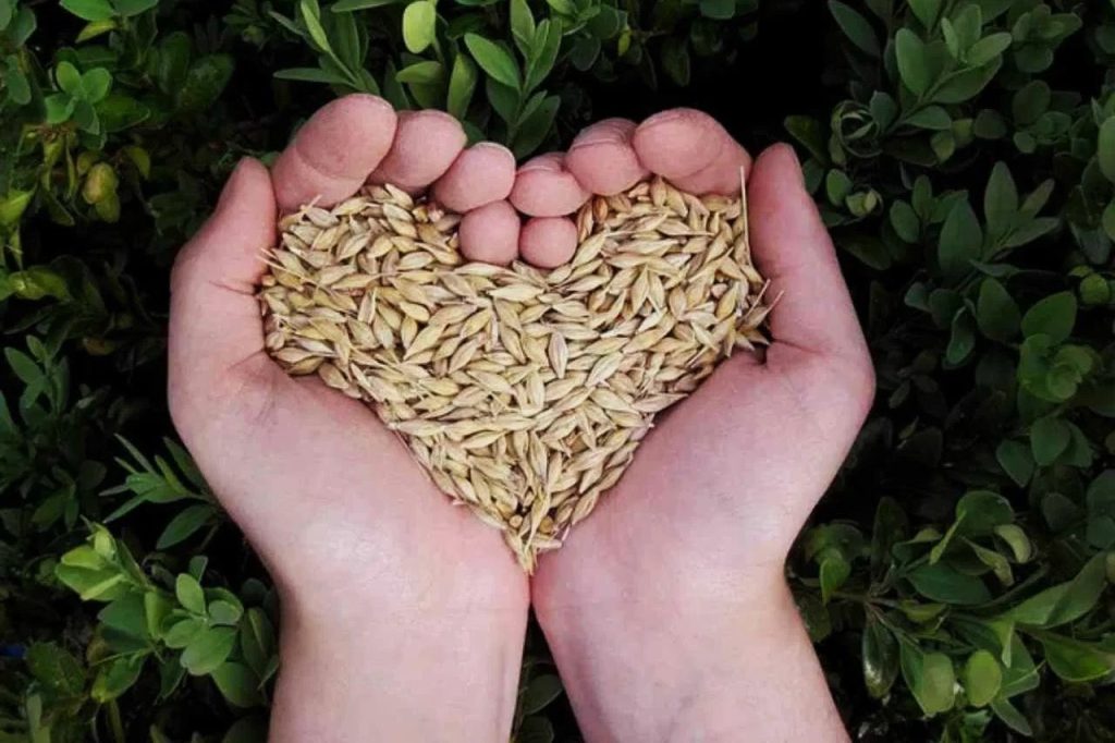 national-grain-free-day-february-21