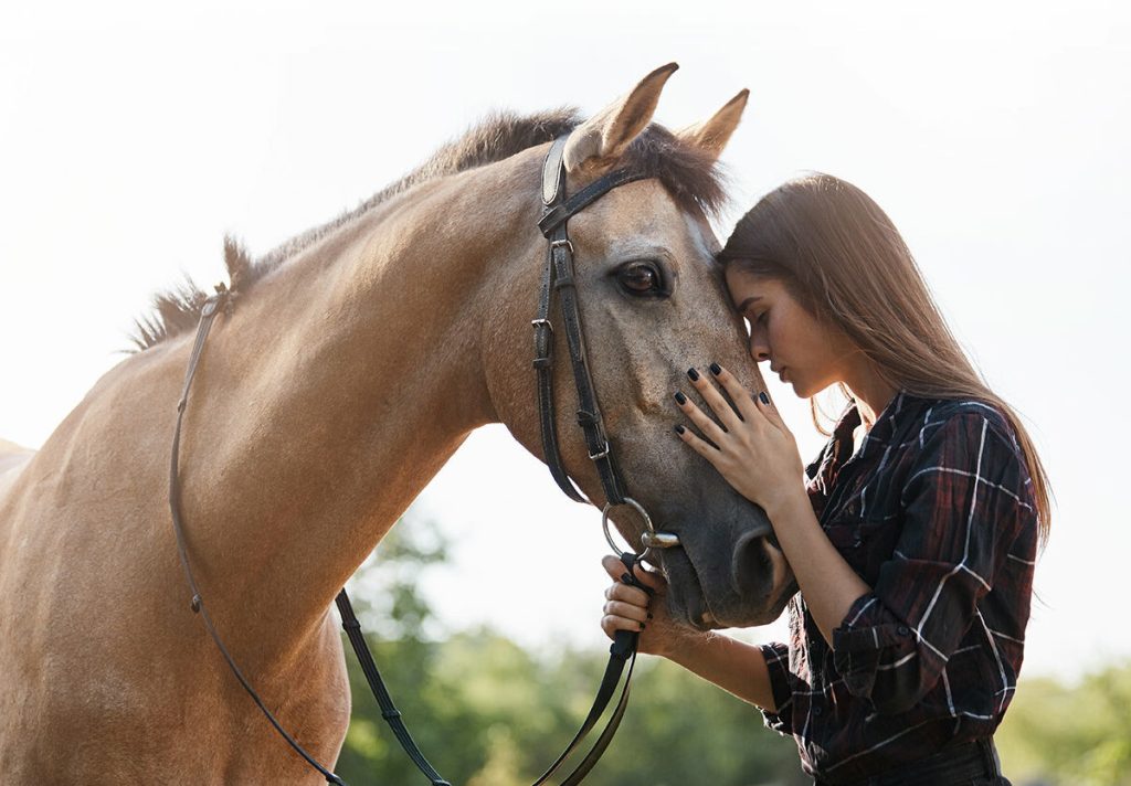 national-horse-protection-day-march-1