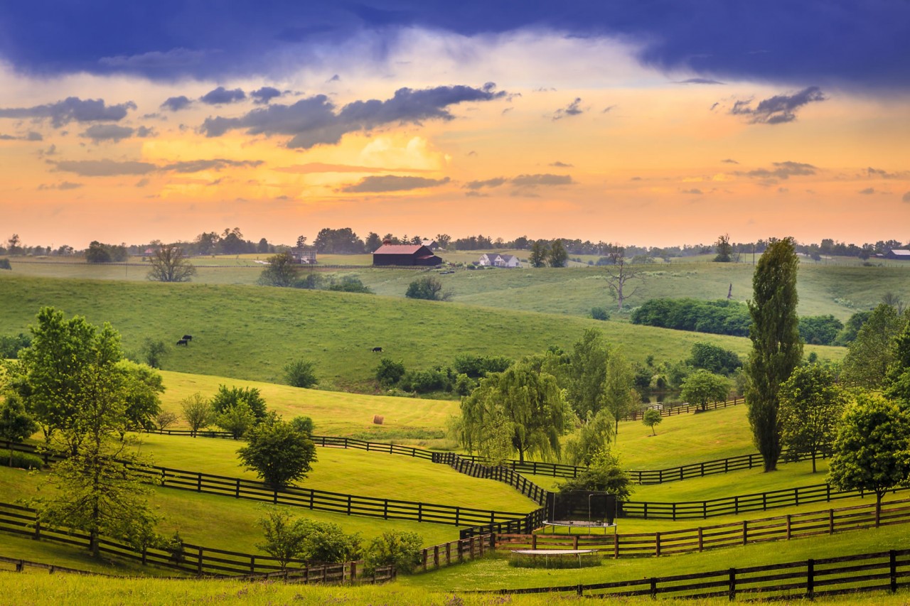 national-kentucky-day-october-19