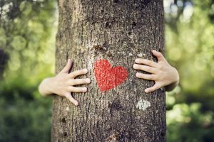 National Love A Tree Day May 16