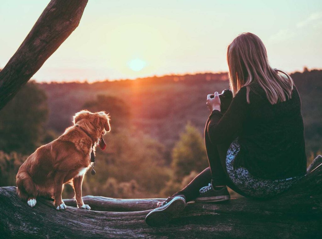 national-love-your-pet-day-february-20