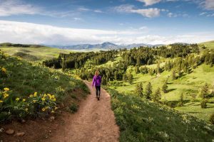 National Montana Day May 3