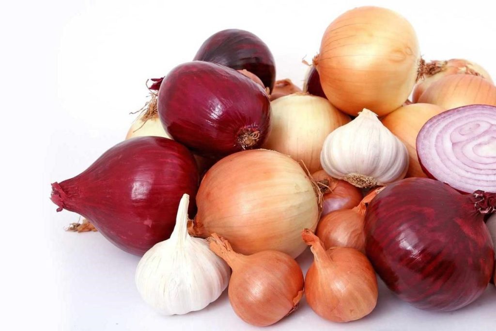 national-onion-day-june-27