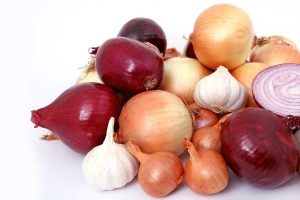 National Onion Day June 27