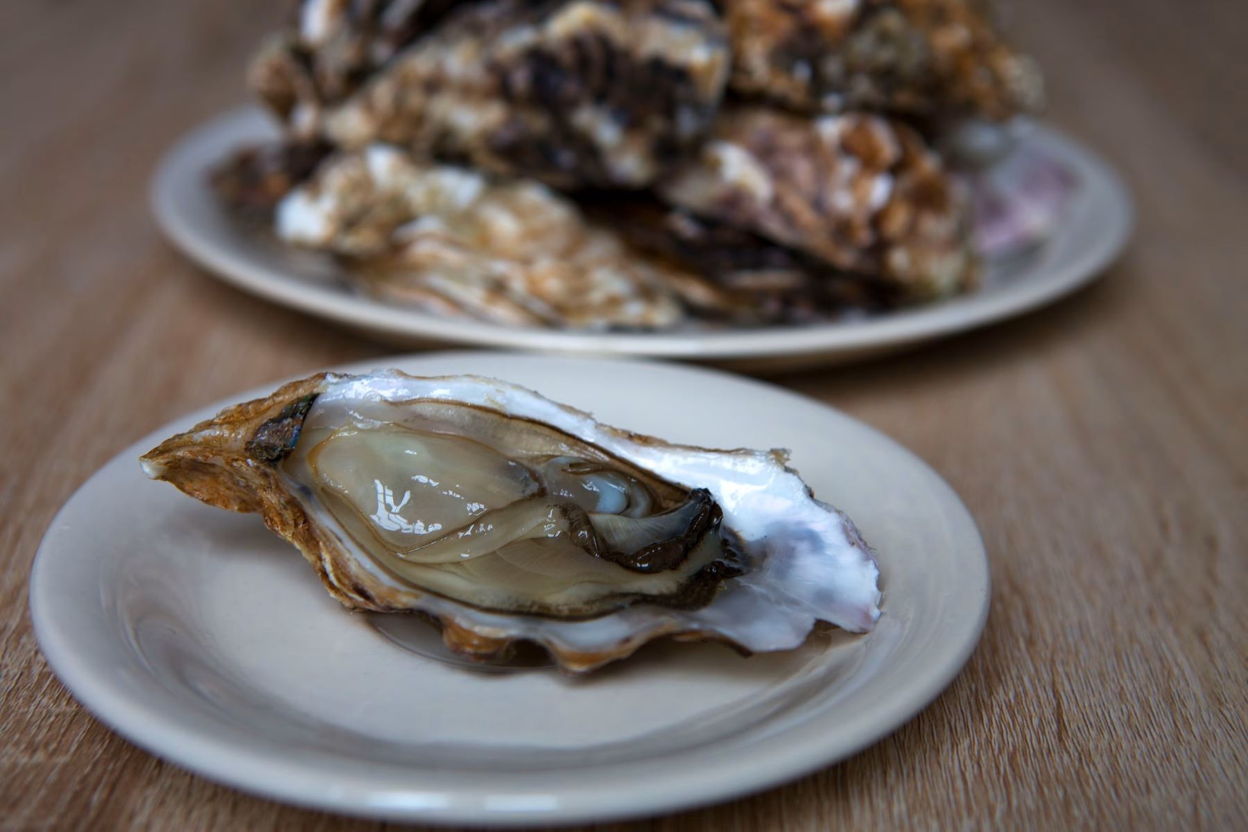 National Oyster Day August 5