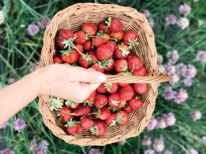 National Pick Strawberries Day May 20