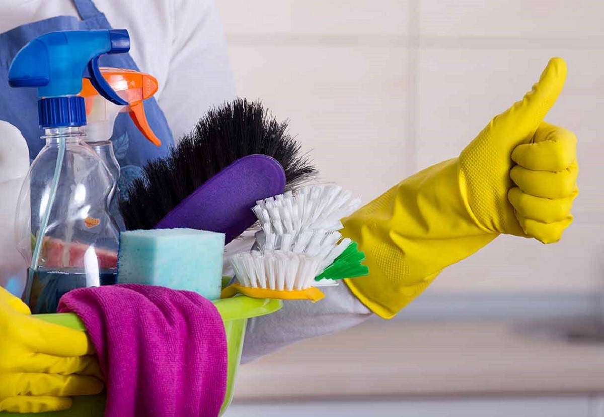 National Professional House Cleaners Day September 17