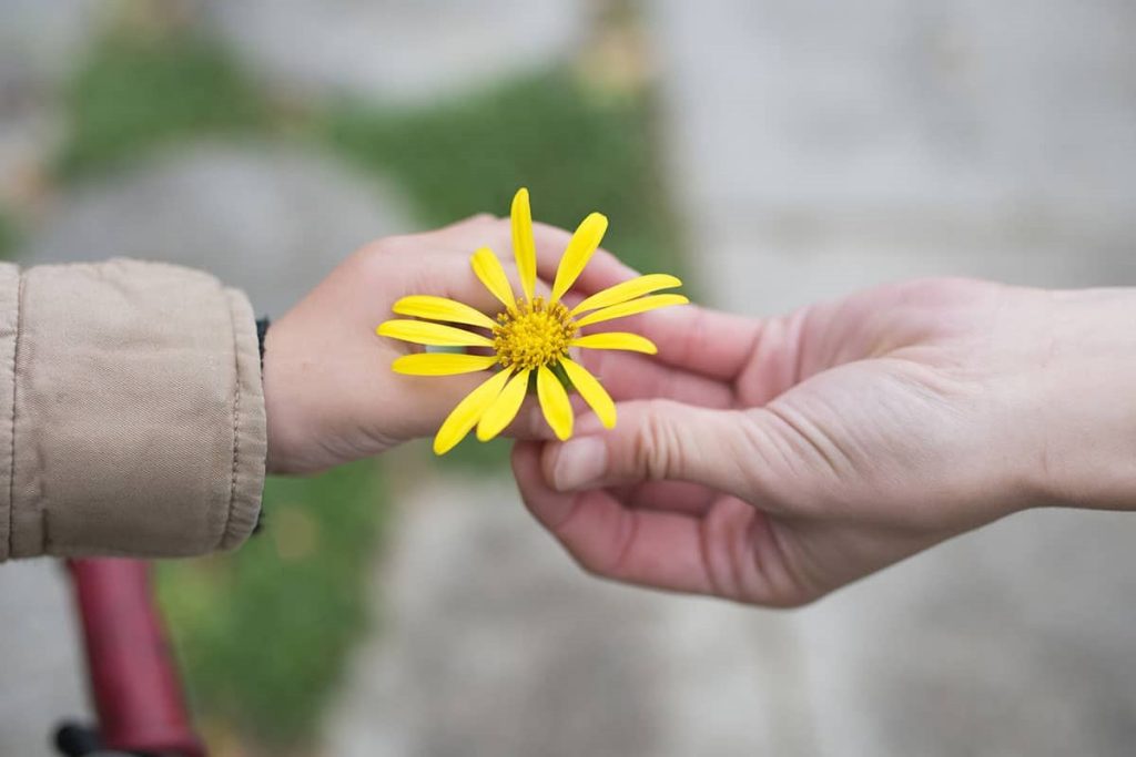 national-random-acts-of-kindness-week-week-of-february-17