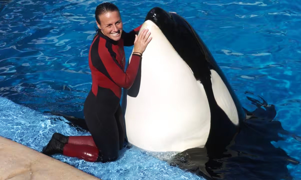 National Shamu The Whale Day September 26