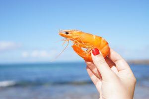 National Shrimp Day May 10