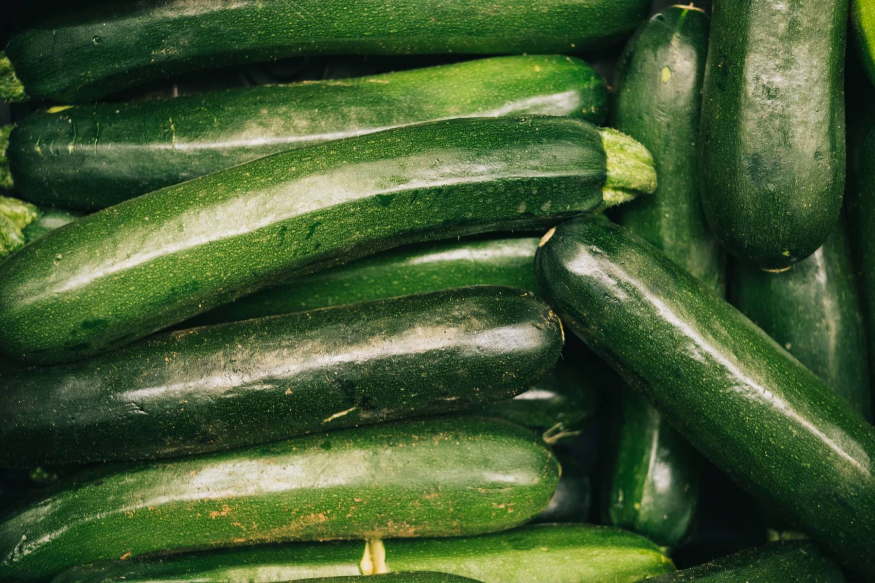 National Sneak Some Zucchini Into Your Neighbors Porch Day August 8