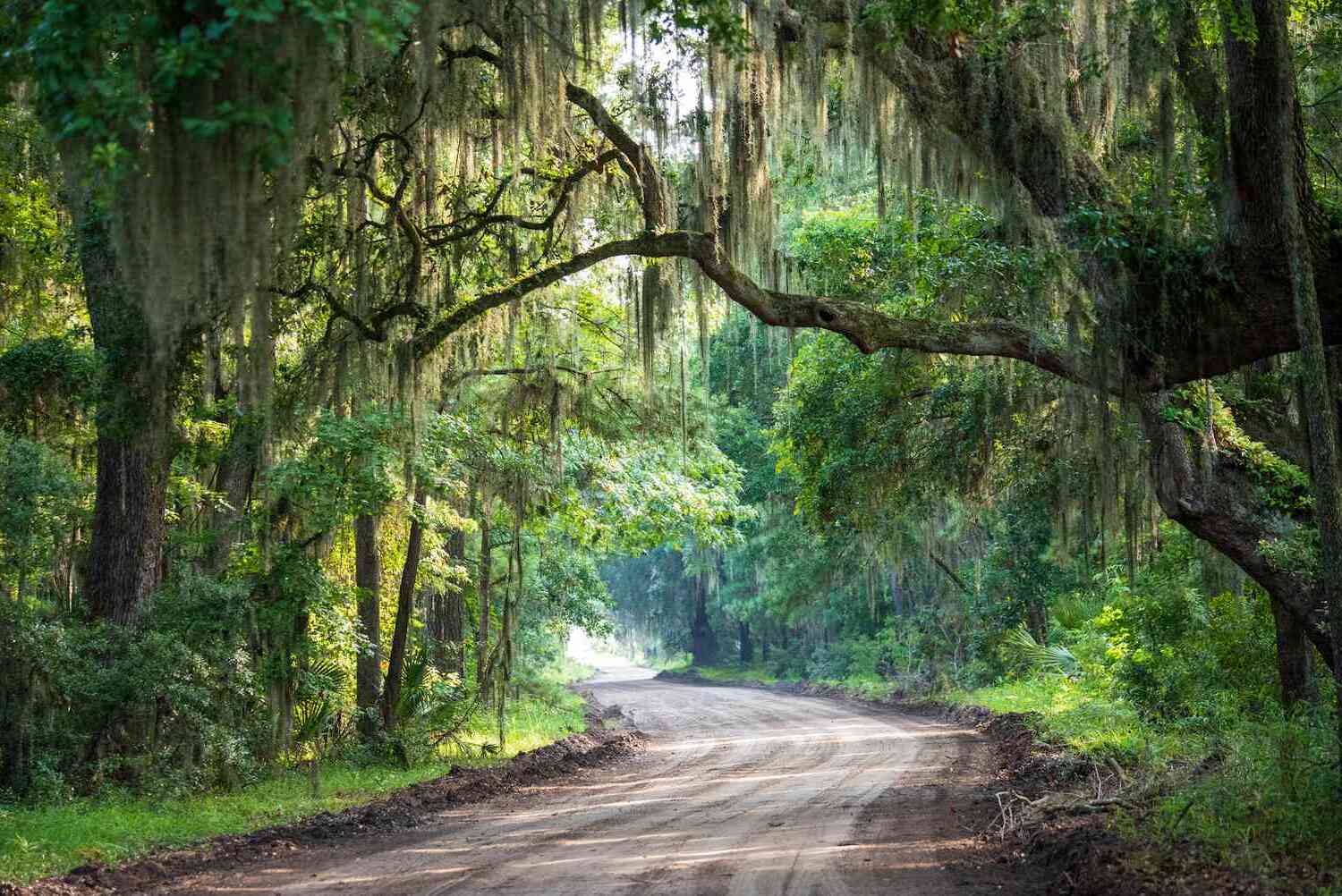 National South Carolina Day August 31