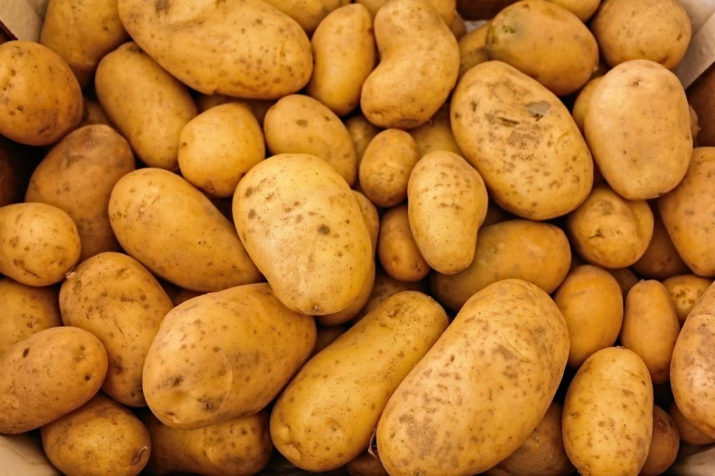 national-tater-day-march-31