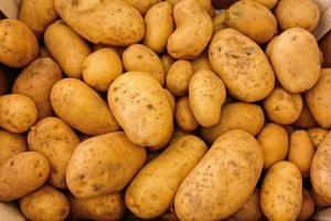 National Tater Day March 31