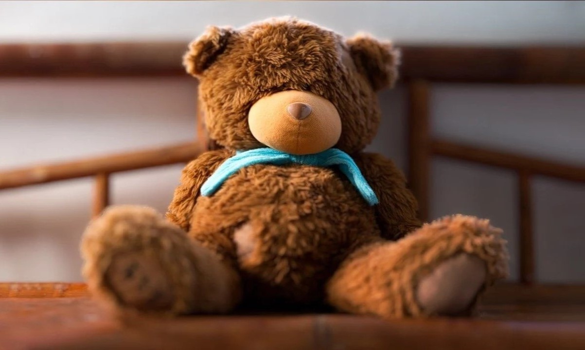 National Teddy Bear Day September 9