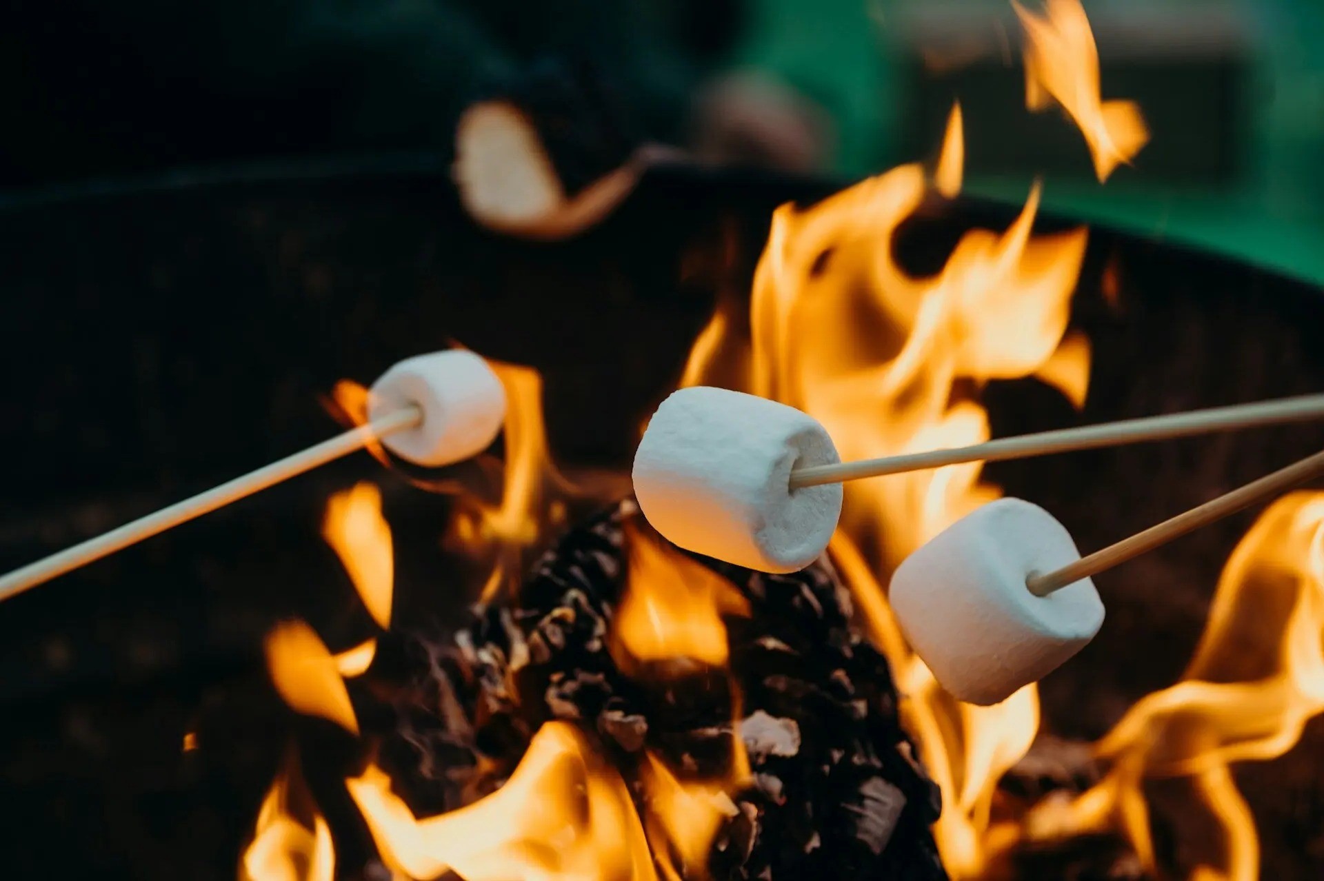 National Toasted Marshmallow Day August 30