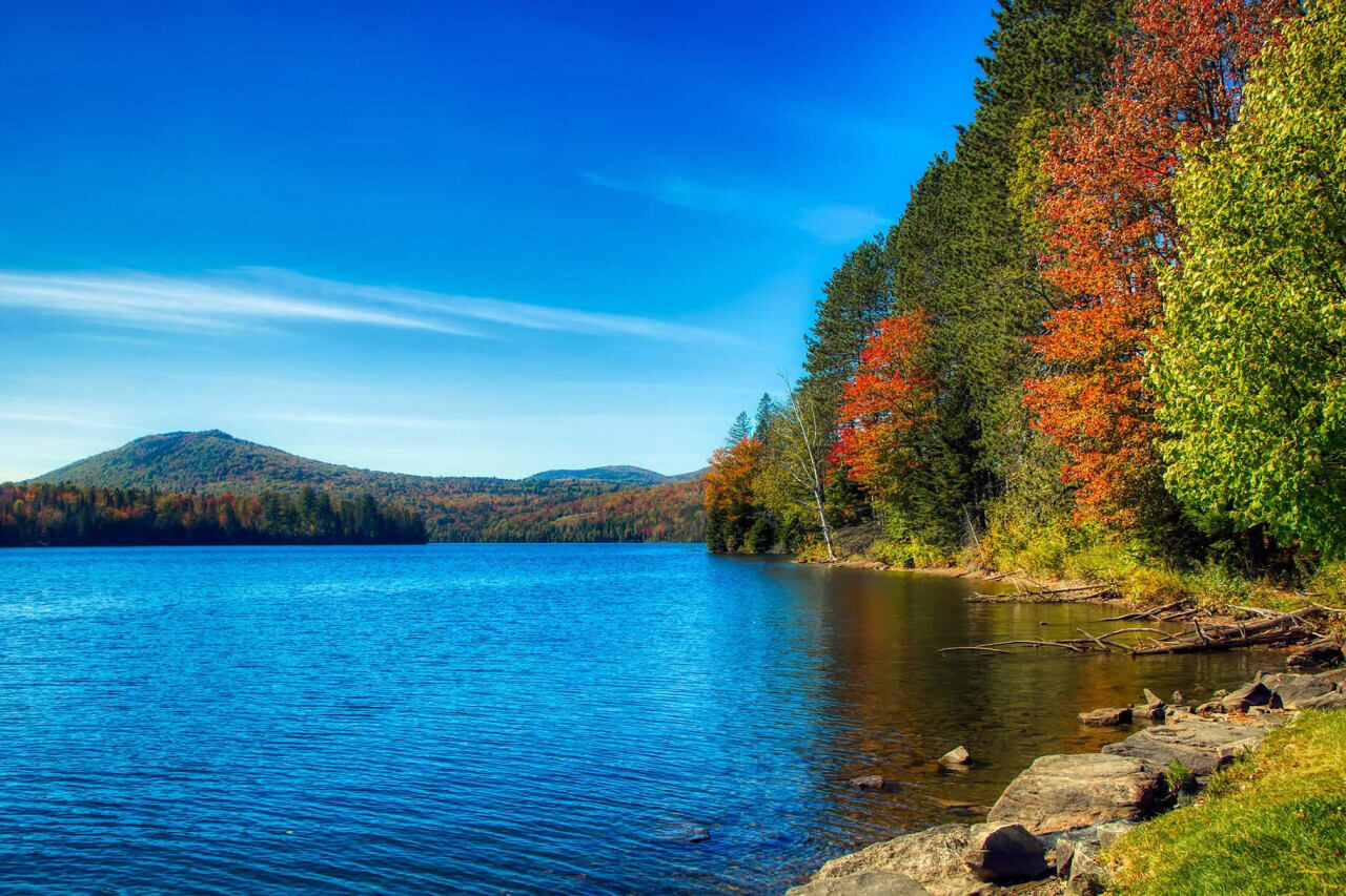 National Vermont Day October 12