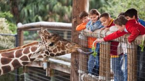 National Zoo Lovers Day April 8