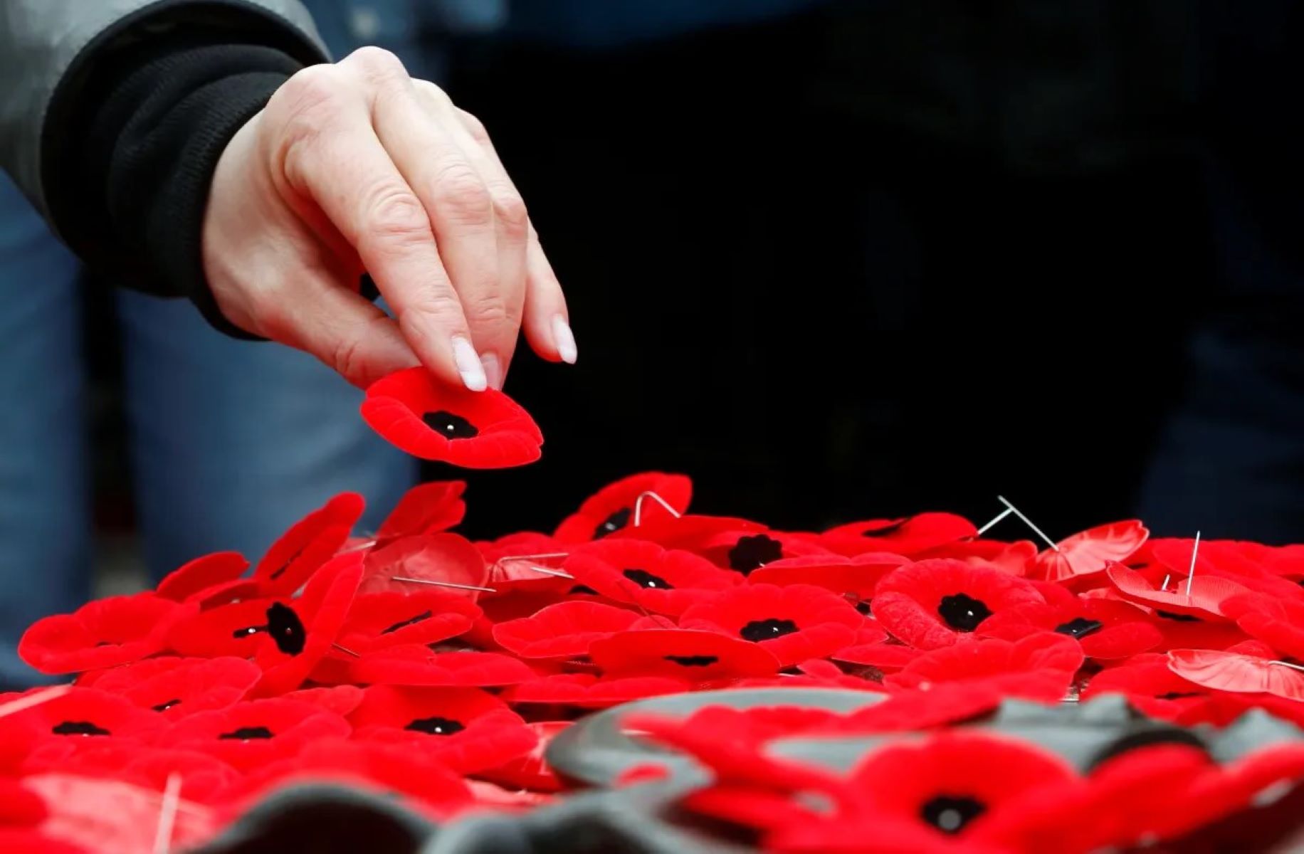 Remembrance Day November 11