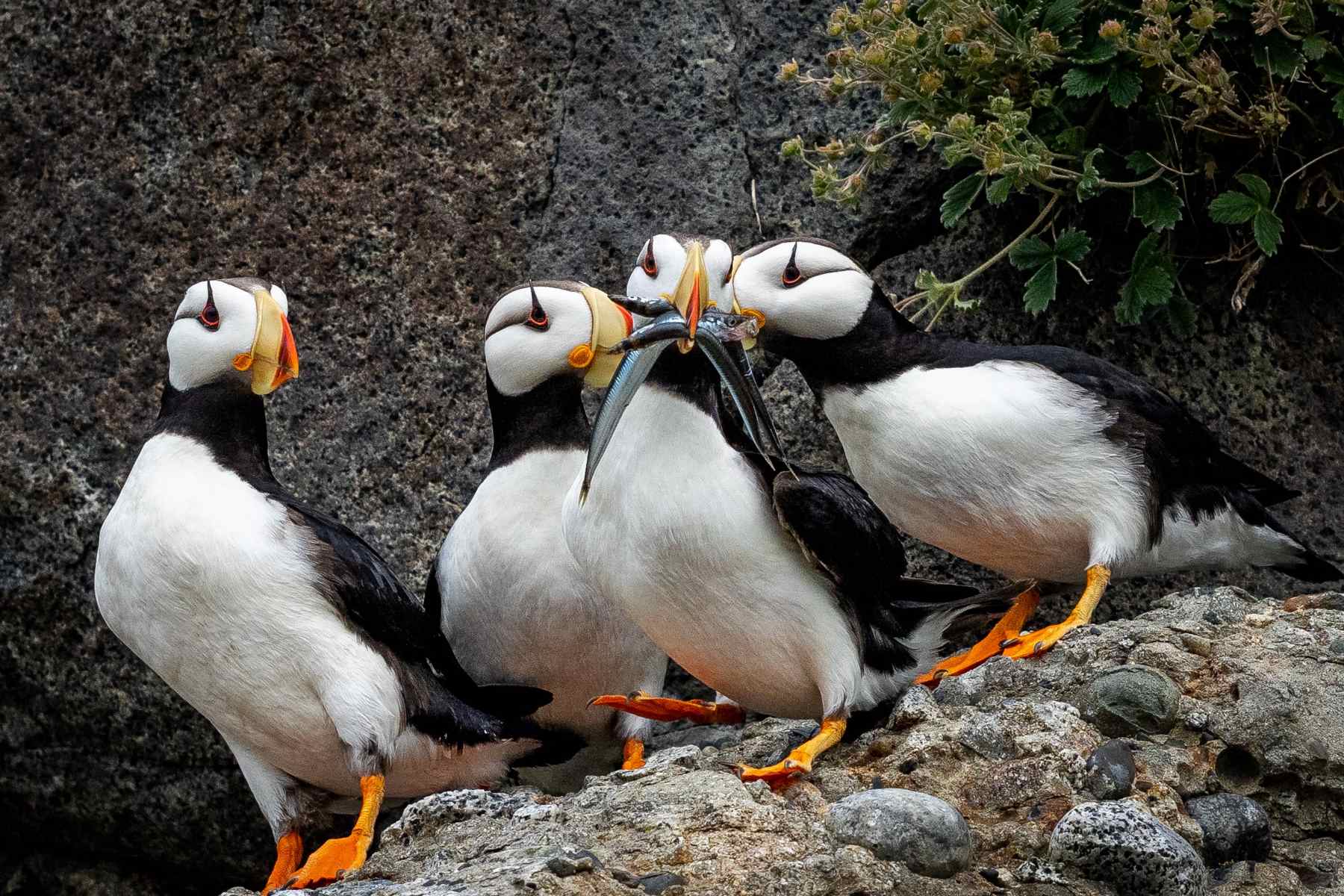 urban-national-wildlife-refuge-day-september-29