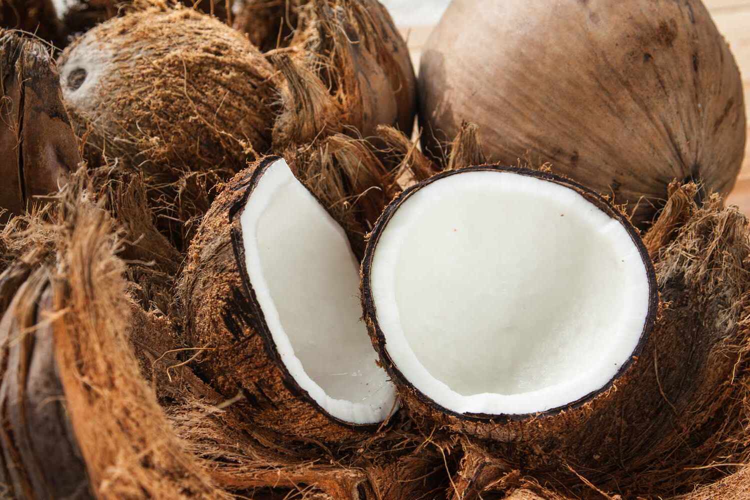 World Coconut Day September 2