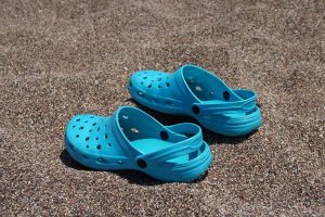 World Croc Day June 17