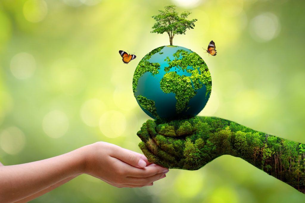 world-environment-day-june-5