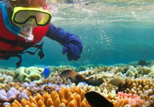 World Reef Awareness Day June 1