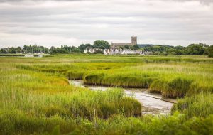 World Wetlands Day February 2